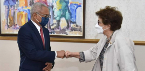 Ana Jorge lança desafio de cooperação entre países da CPLP neste período crítico