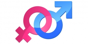 Promo&ccedil;&atilde;o da Igualdade de G&eacute;nero